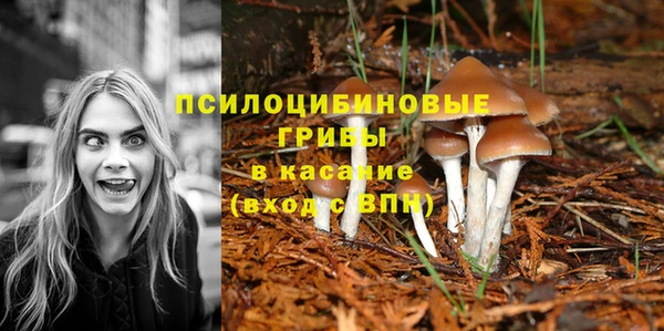 эйфоретик Кулебаки