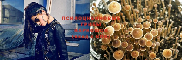 PSILOCYBIN Куйбышев