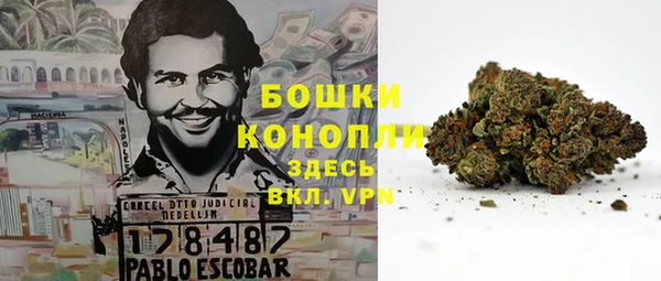 эйфоретик Кулебаки